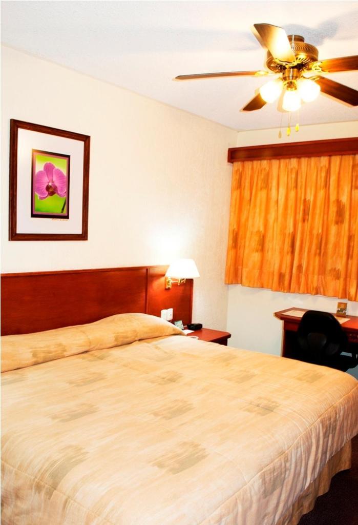 Hotel Marcella Clase Ejecutiva มอเรเลีย ภายนอก รูปภาพ